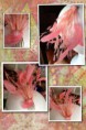 /album/fotogaleria/img-2322-jpg1/